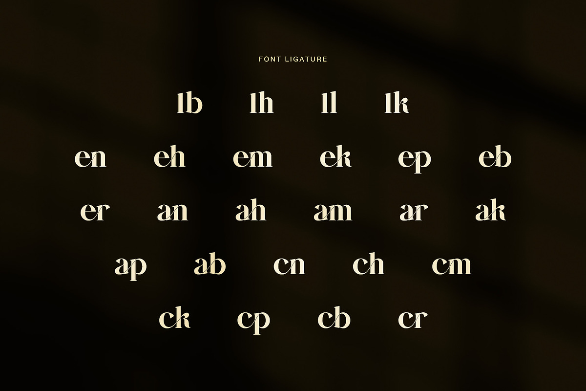 Rilken Elegant Editorial Serif Font, a Serif Font by Graphicxell (Photo 8 of 8)