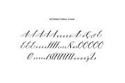 Angelina Rosemary Script Wedding, a Script Font by UICreative (Thumbnail 9 of 13)