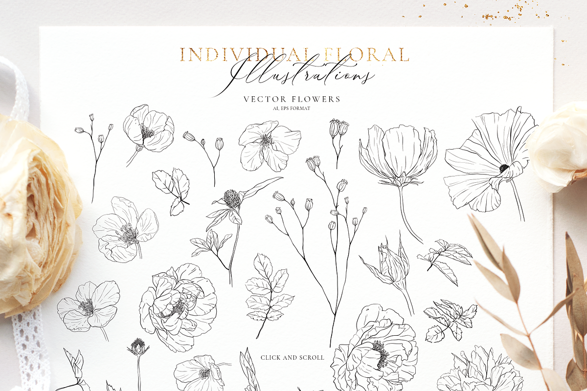Wildflowers-Pencil sketch collection, a Decorative Illustration by Pamyatka Shop (Photo 11 of 13)