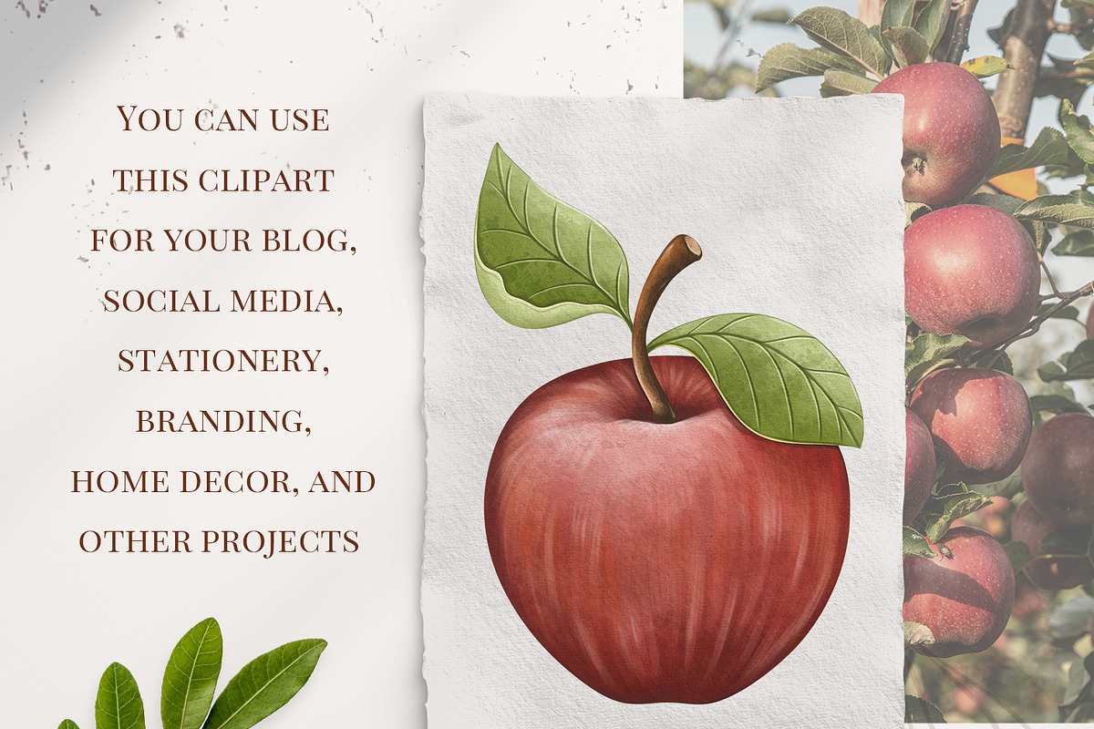 Watercolor Apple Clipart PNG Set (36, a Food Illustration by Mespilia (Photo 4 of 5)
