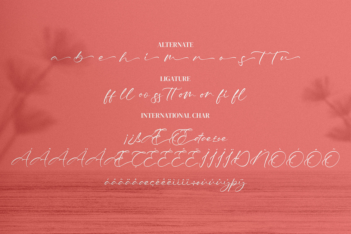 Tiara, a Script Font by Integritype Studio (Photo 9 of 10)