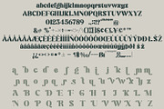 Kanilia | Modern Branding Font, a Serif Font by MchCrafter (Thumbnail 12 of 12)