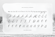 Sollutes Handy | Callighraphy Chic, a Script Font by gracetype_studio (Thumbnail 12 of 12)