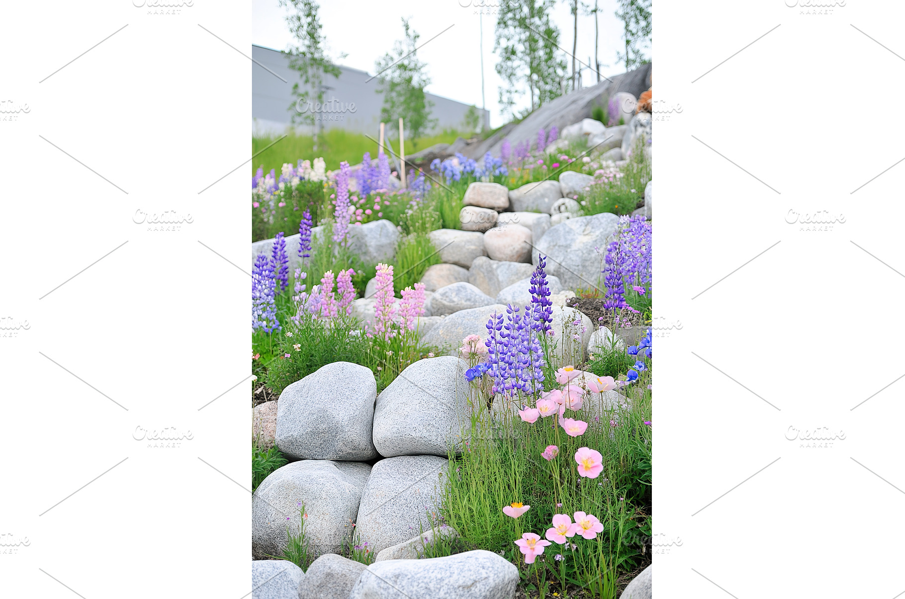 Beautiful landscape design featuring, a Nature Photo by Lermont51