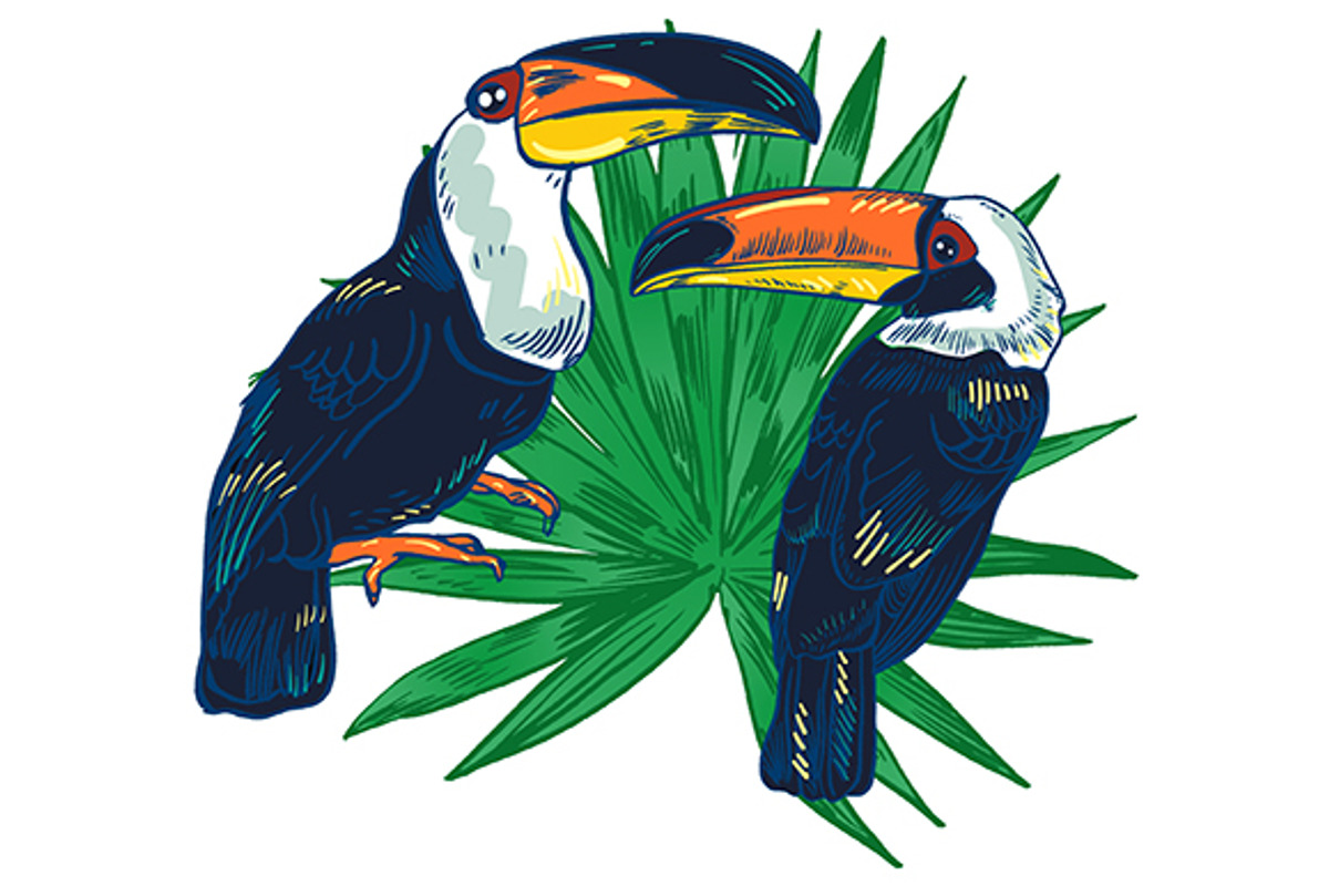 TOUCAN, an Animal Illustration by Tanya Akhmett (Photo 9 of 11)
