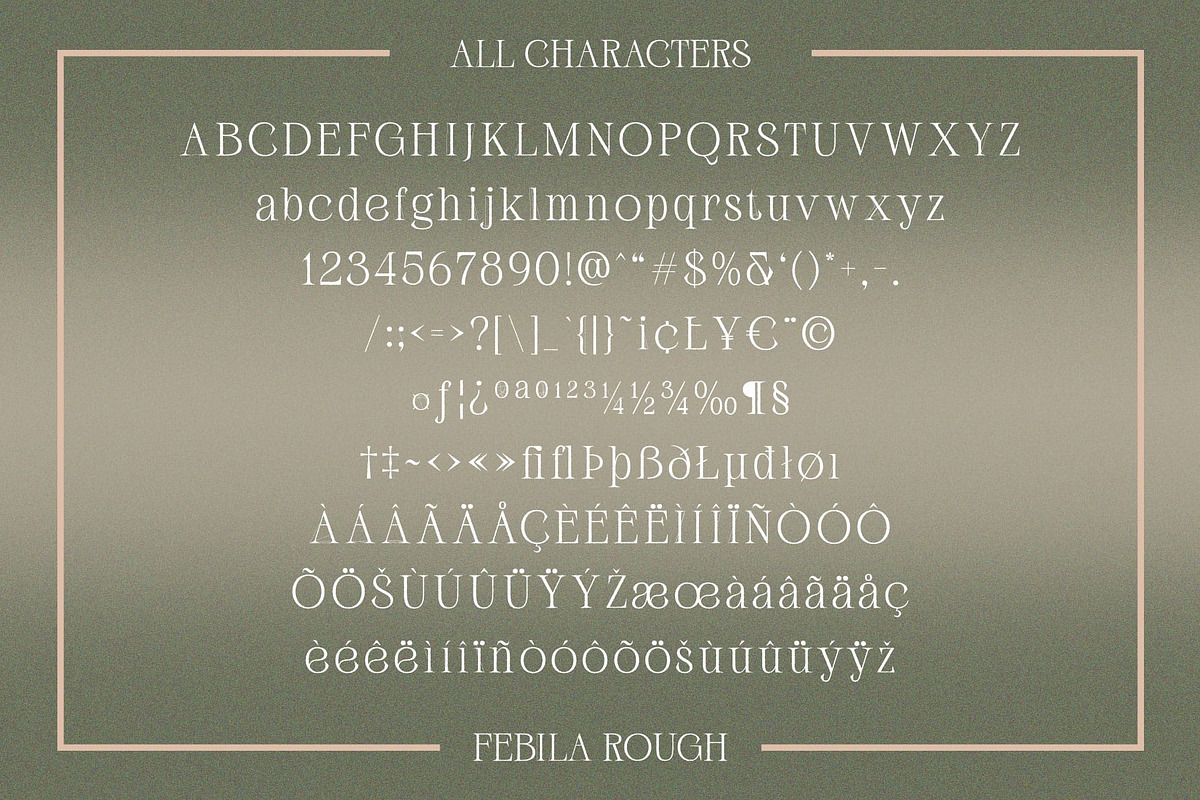 Febila Rough, a Serif Font by Craft Supply Co. (Photo 8 of 8)