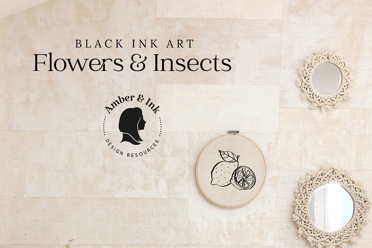 Flowers & Insects | Black Ink Art, an Illustration by amber&ink (Photo 11 of 12)
