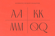 Acapulco Stylish Sophisticated Font, a Sans Serif Font by Studio Aurora (Thumbnail 7 of 8)