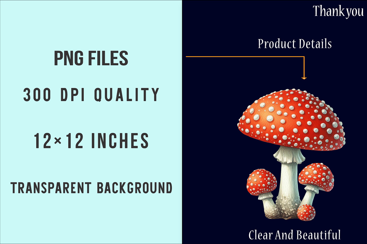 Edible Mushrooms Sublimation Clipart, an Illustration by SinaCreation (Photo 4 of 5)