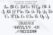 Bundling Package, a Handwritten Font by FreshTypeINK (Thumbnail 7 of 8)