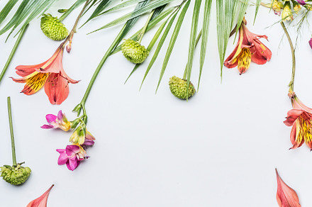 Tropical flowers and palm leaves, an Abstract Photo by VICUSCHKA