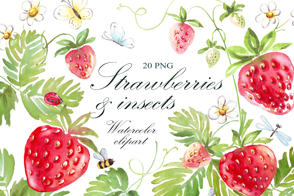 Watercolor strawberry PNG + insects, an Illustration by Alena Kurian (Photo 1 of 3)