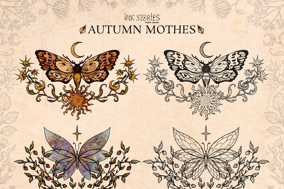 Autumn Moths & Dried Botanicals, an Animal Illustration by Ink Stories (Photo 7 of 18)