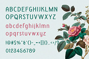 Ladonna – Display Sans Serif, a Sans Serif Font by BrandSemut (Thumbnail 8 of 8)