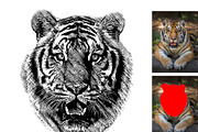 Vector Trace Photoshop Action, an Action Add-On by Photoshop Action (Thumbnail 5 of 13)