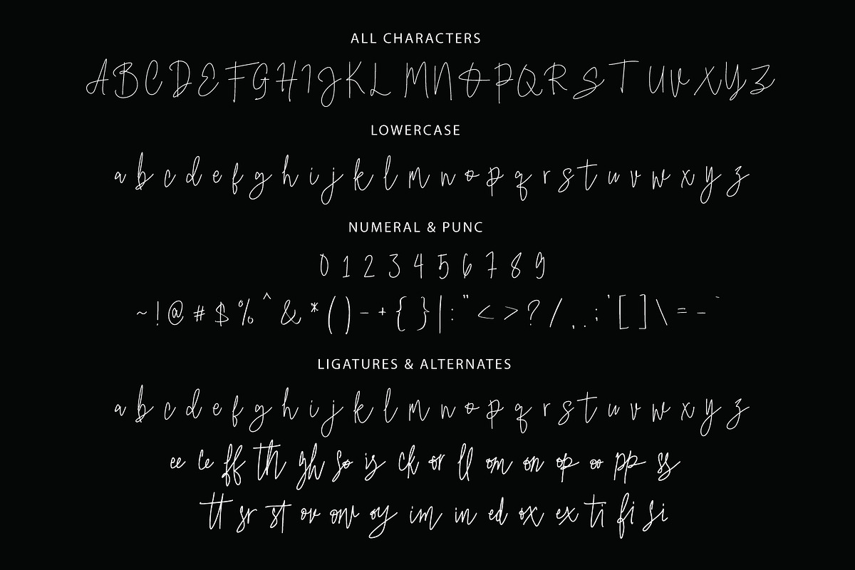 Dunkerlest Signature, a Handwritten Font by Eltypesstudio (Photo 2 of 10)