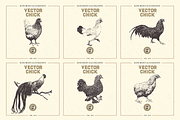 VECTOR CHICK HAND DRAWN BUNDLE VOL25, an Animal Illustration by pawellpi (Thumbnail 4 of 9)