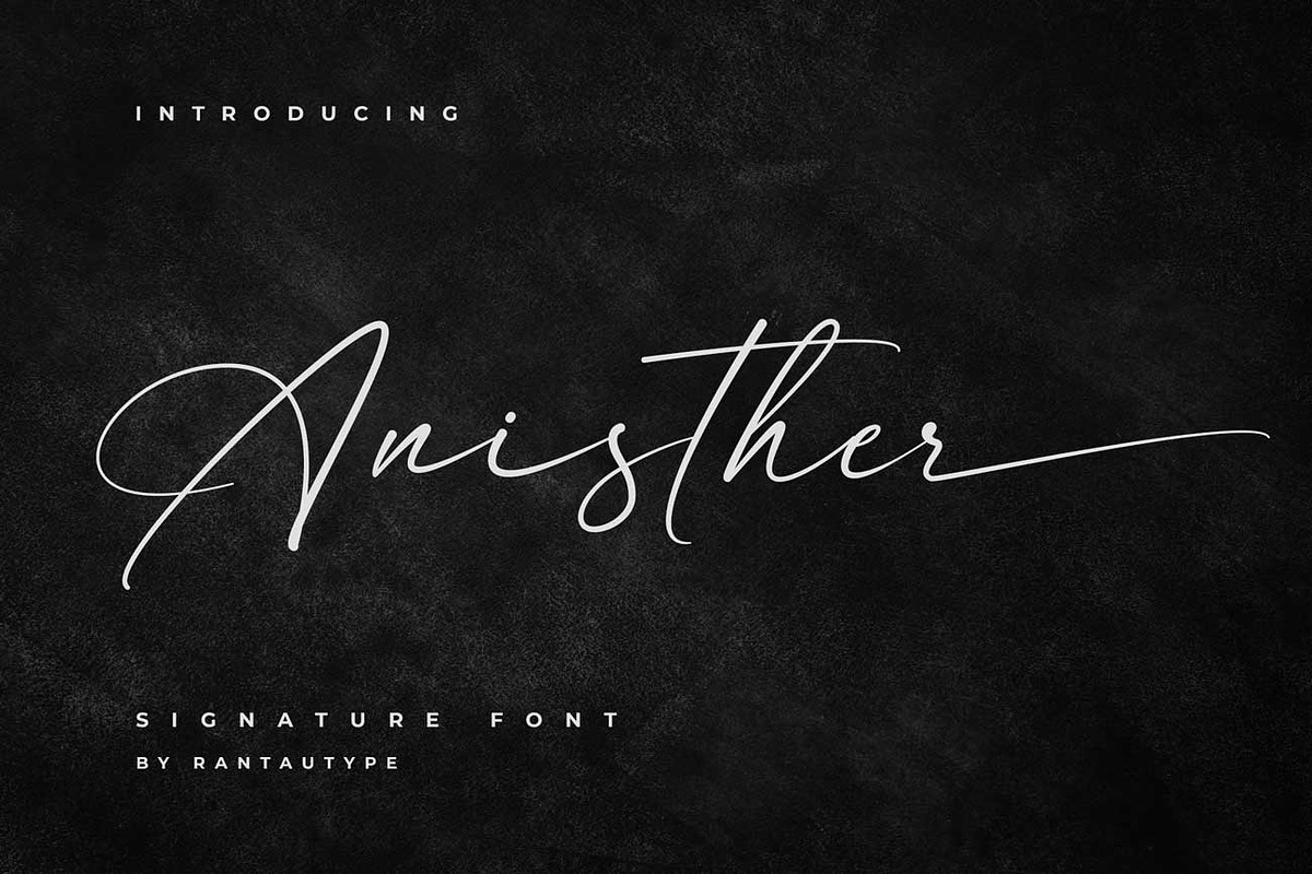 Anisther - Elegant Signature Font, a Font by RantautypeStudio (Photo 1 of 13)