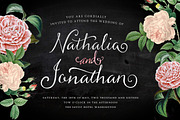 Butterscotch Typeface, a Script Font by Nicky Laatz (Thumbnail 3 of 5)