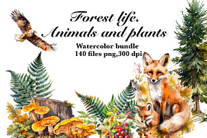 Watercolour Animals and plants