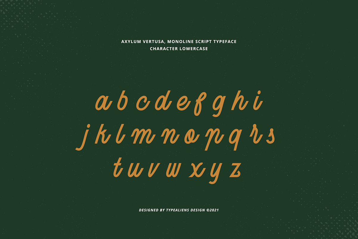 Axylum Vertusa, a Script Font by ilhamtaro (Photo 8 of 11)
