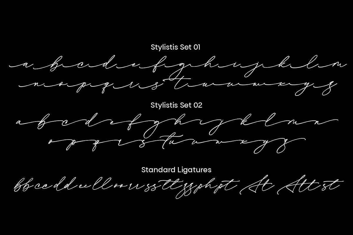 Adorable Calligraphy, a Script Font by Cititype (Photo 16 of 17)