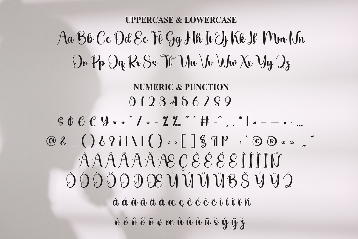 Lady | Script Font, a Handwritten Font by Scratchones (Photo 7 of 9)