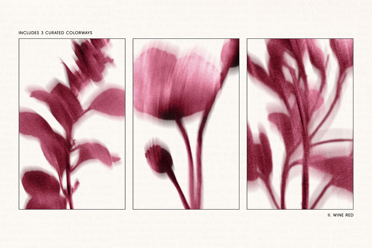 Botanical Traces: Blurred Floral PNG, an Object Graphic by Dina Mae (Photo 11 of 14)