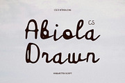 CS Abiola Drawn, a Script Font by Craft Supply Co. (Thumbnail 1 of 8)
