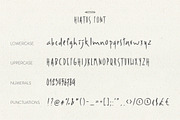 Hiatus Brush Font & Illustrations, a Font by Storyteller Imagery (Thumbnail 2 of 20)