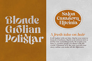 Pronela (Serif Family Typeface), a Font by Fontastic (Thumbnail 12 of 15)