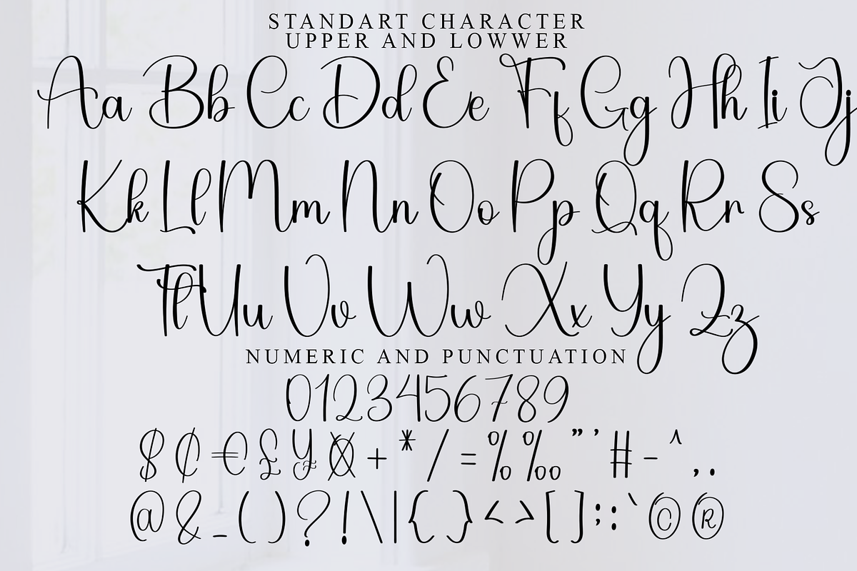 Beautiful Ornaments, a Handwritten Font by FreshTypeINK (Photo 3 of 8)