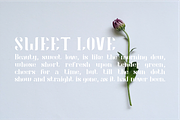 Audrey Font, a Serif Font by PutraCetol Studio (Thumbnail 7 of 10)