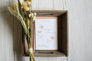 California Poppy Pencil Drawings, an Illustration by Greta Ivy (Thumbnail 4 of 6)