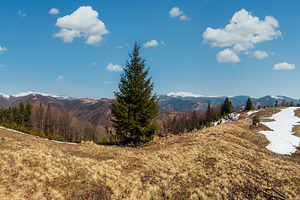 Early spring Carpathian mountains, a Nature Photo by YuriyB