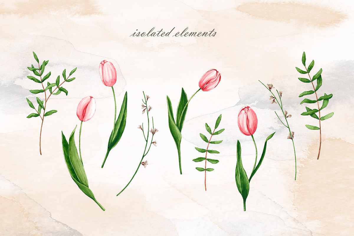 Blooming tulips. Watercolor set, a Pattern Graphic by Ola_Vola (Photo 8 of 9)