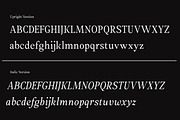 Amnesist | 12 Fonts, a Serif Font by Skinny Type (Thumbnail 11 of 12)