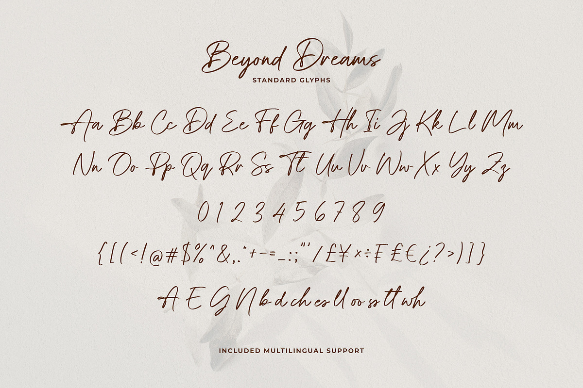 Beyond Dreams Signature Script Font, a Script Font by Heinzel Std (Photo 13 of 17)