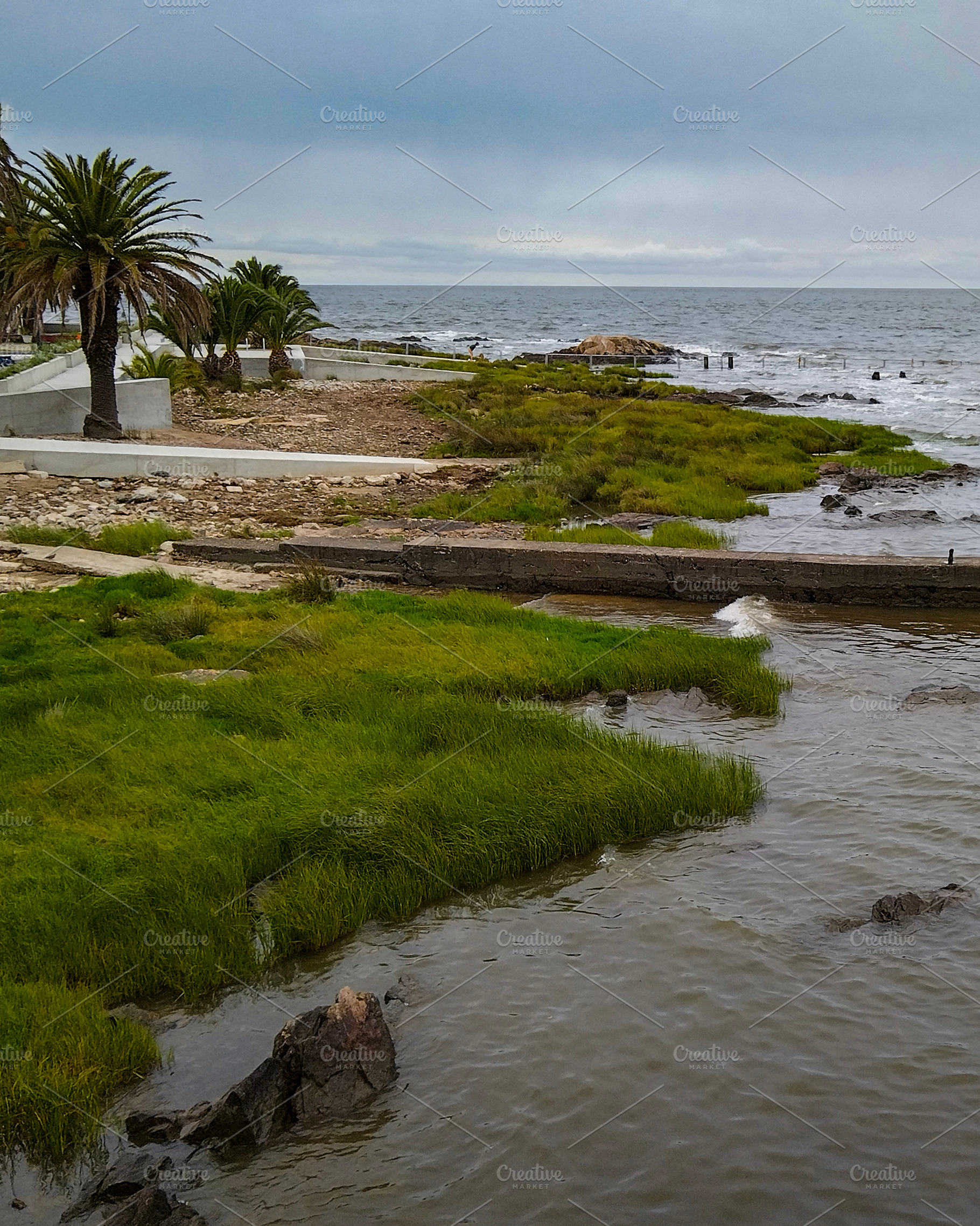 Coastal scene at rio de la plata river, montevideo, uruguay, a Nature Photo by DanFLCreativo