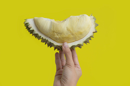 Hand holding durian peels. Fresh ripe durian meat with shell and, a Food & Drink Photo by Tampatra