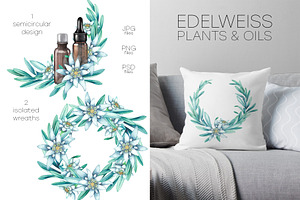 Watercolor Edelweiss Collection