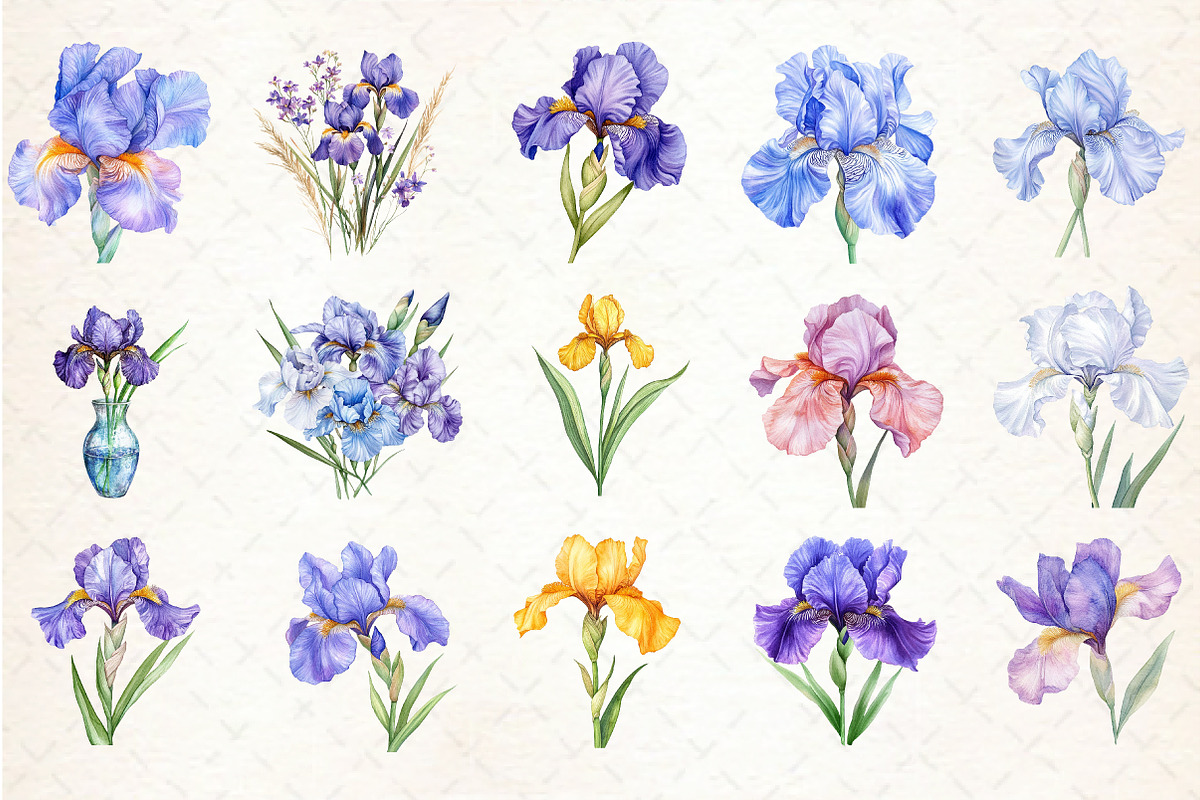 Watercolor Iris Flower Clipart Bundl, an Illustration by Libby Wishes (Photo 6 of 6)