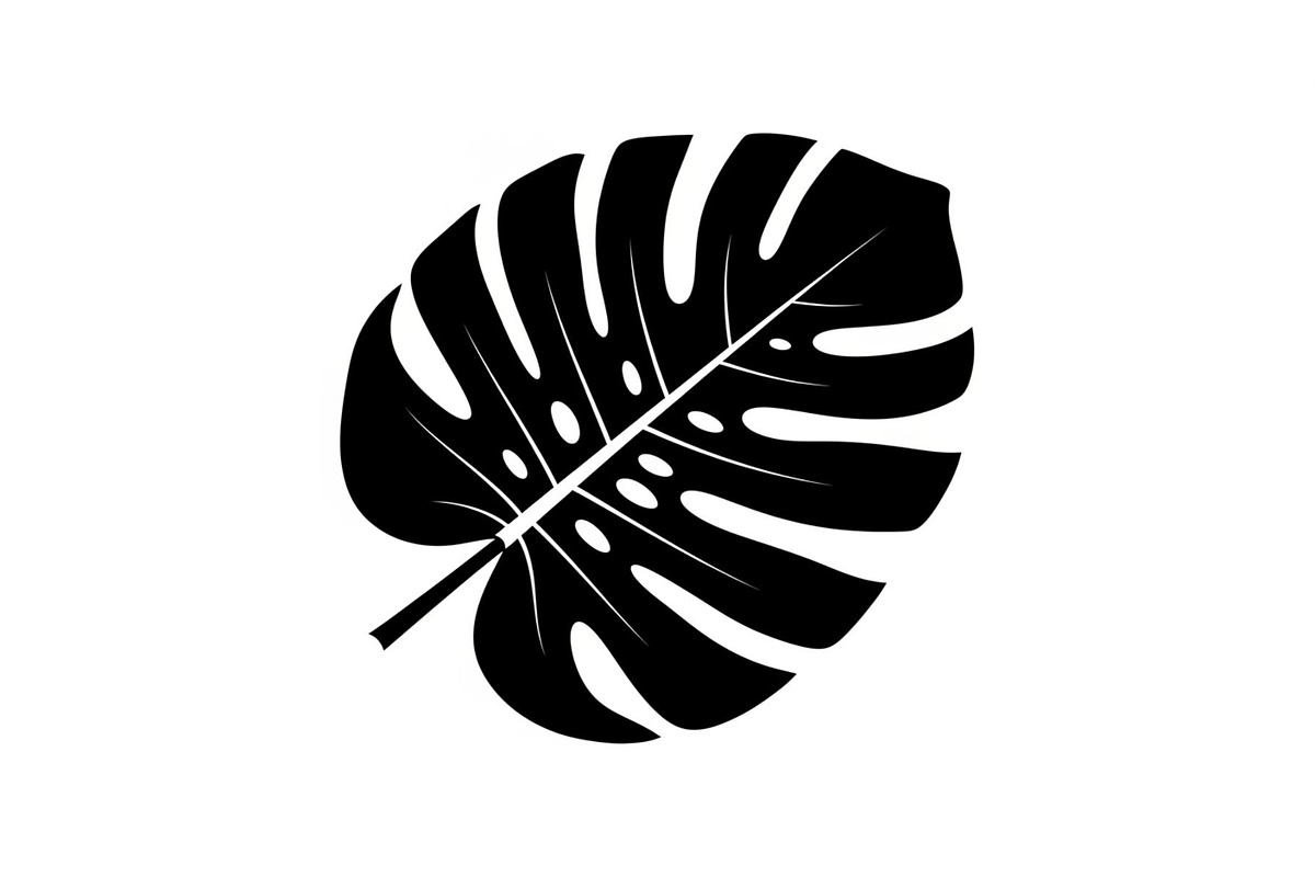 Monstera Leaf Silhouette Bundle, an Illustration by yasushie (Photo 13 of 31)