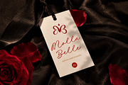 Golden Authentic - Cursive Font, a Script Font by Subectype Studio (Thumbnail 11 of 12)