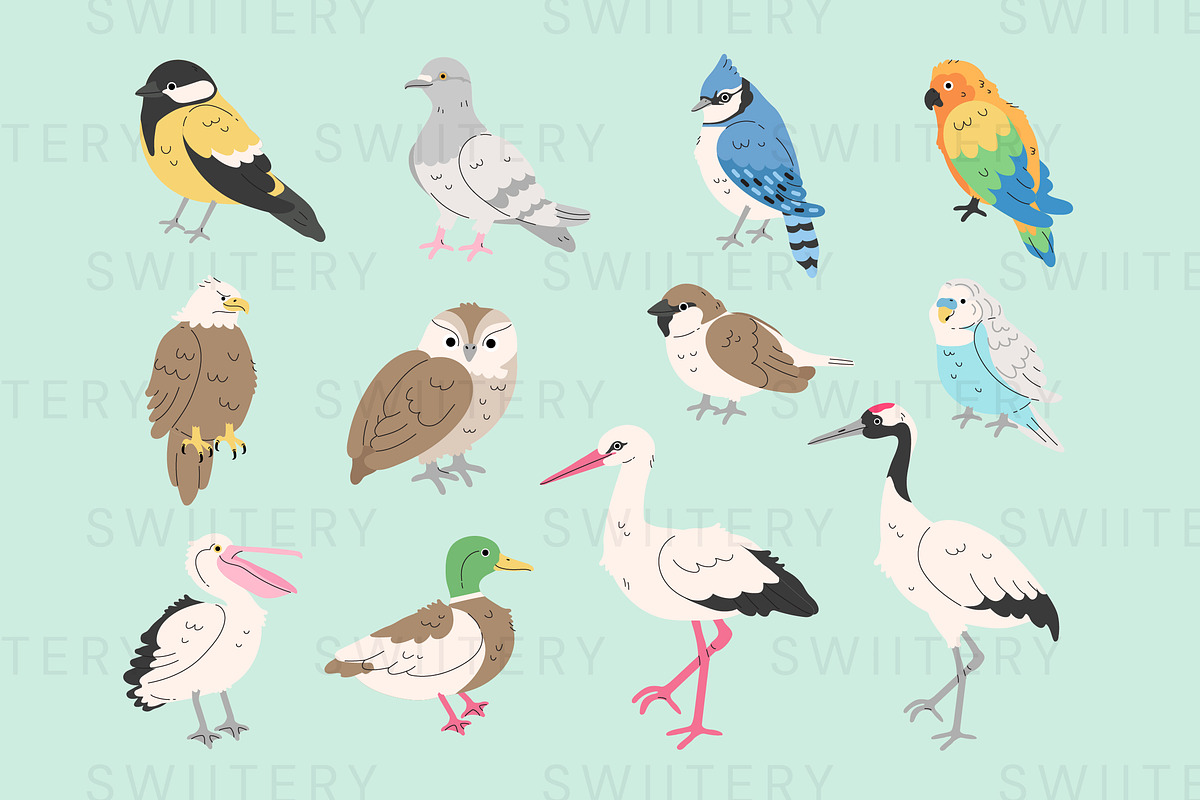 Bird Clipart - Swiitery, an Animal Illustration by Iconixar & Friends (Photo 2 of 2)
