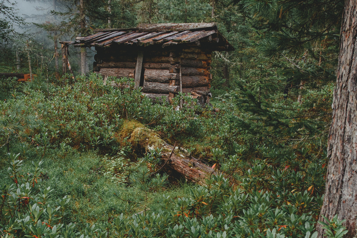 Hunter's house in forest. Photo Pack, a Nature Photo by GoodMomentShop (Photo 6 of 6)