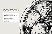 Tinned Fish & Seafood Vector Set, a Food Illustration by Yevheniia (Thumbnail 13 of 14)