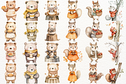 Fall Woodland Clipart Autumn Animals, an Animal Illustration by SugarCloudStudioArt (Thumbnail 5 of 6)