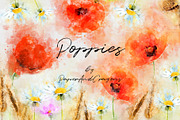 Watercolor Poppies, an Illustration by PaperAndCrayons (Thumbnail 1 of 5)