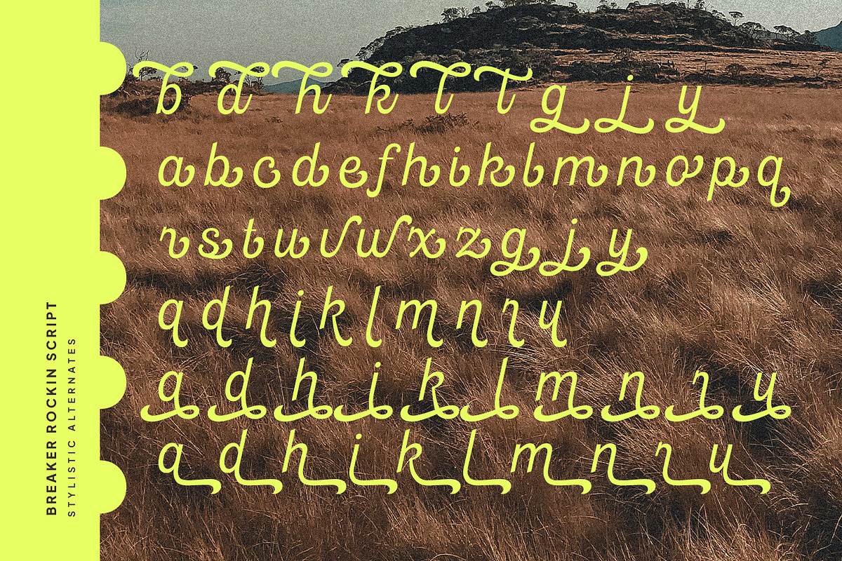 Breaker Rockin, a Script Font by Nathatype (Photo 9 of 21)